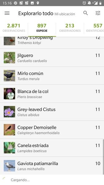 iNaturalist Screenshot1