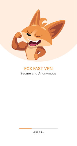 Fox Pro VPN Screenshot2