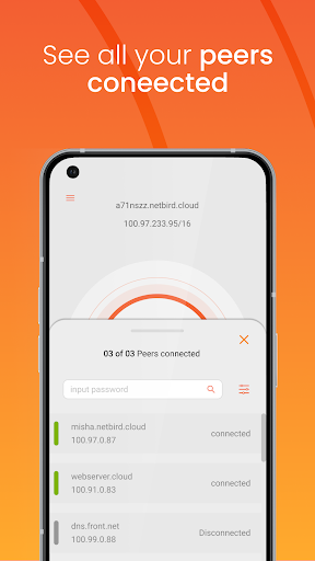 NetBird P2P VPN Screenshot1