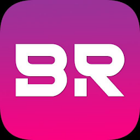 BR NET VPN APK