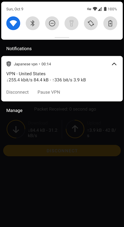 VPN Japan | Japanese IP Screenshot3