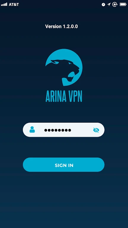 ARINA VPN Screenshot2