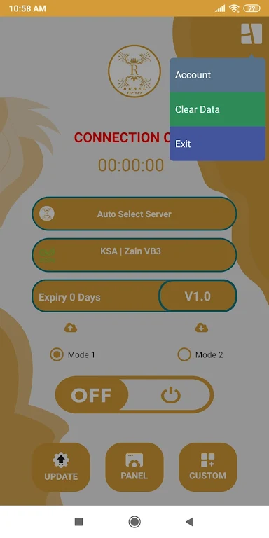 Rubel VIP VPN Screenshot3