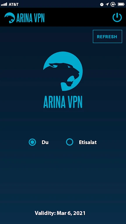 ARINA VPN Screenshot3