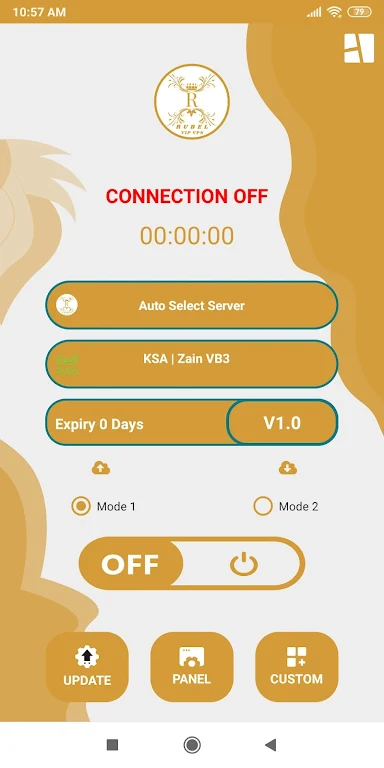 Rubel VIP VPN Screenshot2