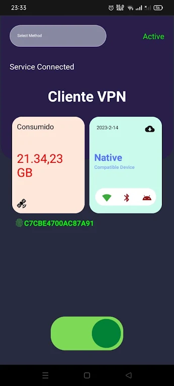 Cliente VPN (V2ray) Screenshot4