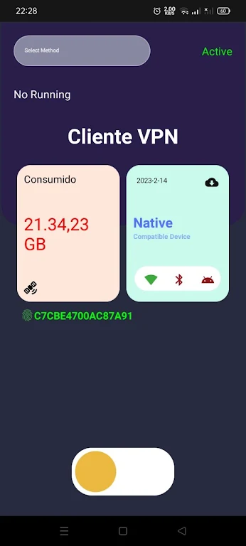 Cliente VPN (V2ray) Screenshot1