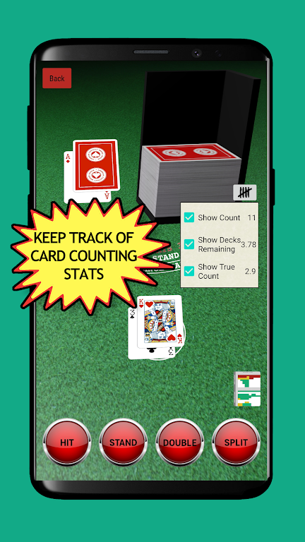 Blackjack Card Counting Screenshot2