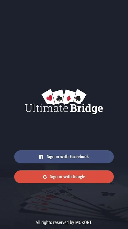 Ultimate Bridge Screenshot4