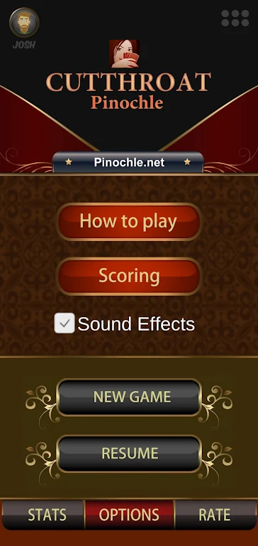 Cutthroat Pinochle Screenshot2