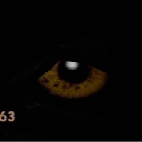 Forgotten Dark Cave Number 63 APK