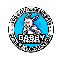 GABBY VPN 3in1 APK