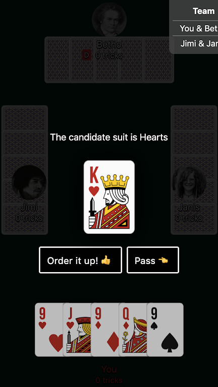 Euchre Card Game Screenshot2