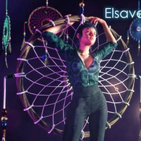 Elsaverse: Transitions APK