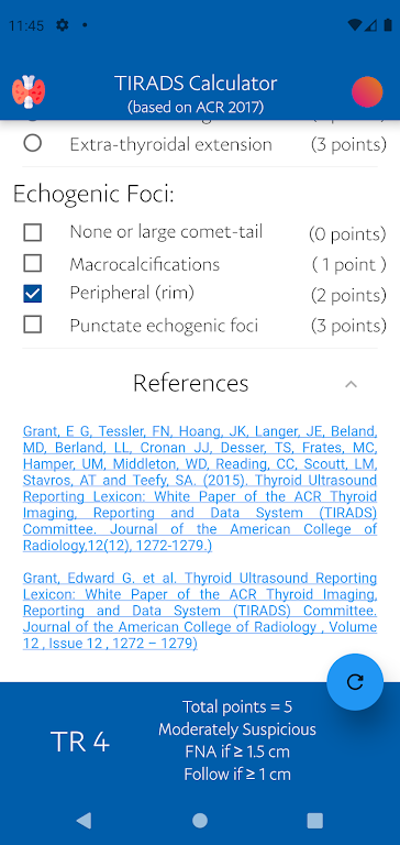 TIRADS Calculator Screenshot2