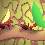 My Ant Farm APK