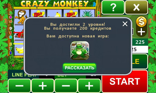 Crazy Monkey slot machine Screenshot4