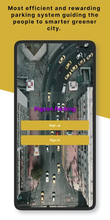 Pigeon Parking: Peoples Choice Screenshot1