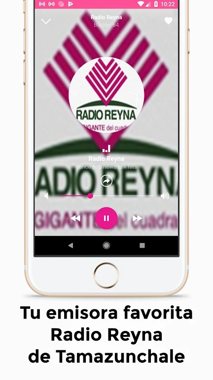 Radio Reyna de Tamazunchale Gigante del Cuadrante Screenshot3