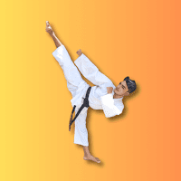 Shotokan Karate WKF APK