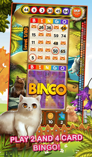 Bingo Pets Mania: Cat Craze Screenshot4