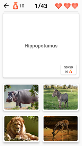 Mammals – Learn All Animals in Photo - Quiz! Screenshot2