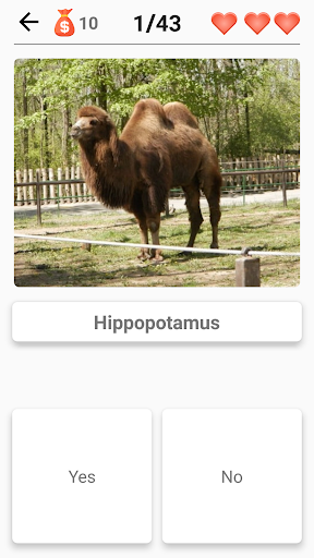 Mammals – Learn All Animals in Photo - Quiz! Screenshot4