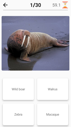 Mammals – Learn All Animals in Photo - Quiz! Screenshot3