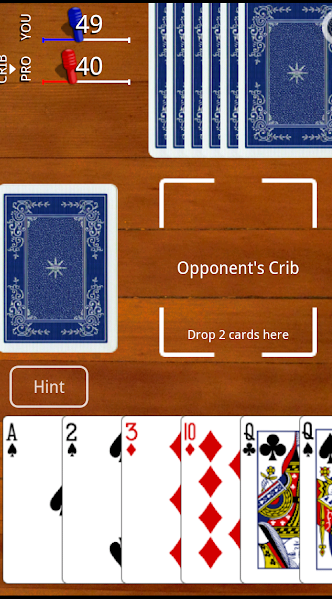 Cribbage Classic Screenshot3