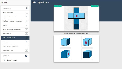 IQ Test - The Intelligence Quiz Screenshot2
