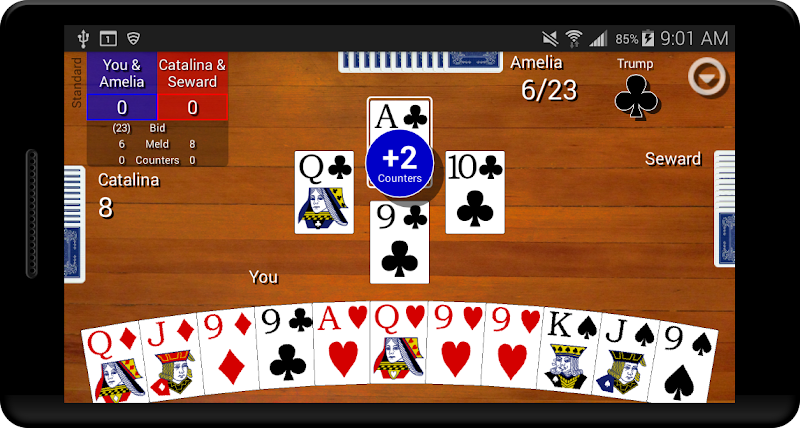 Pinochle Classic Screenshot5