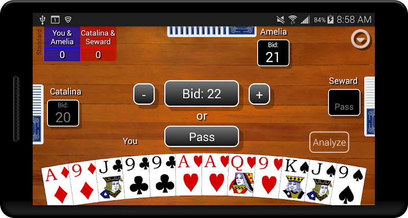 Pinochle Classic Screenshot4