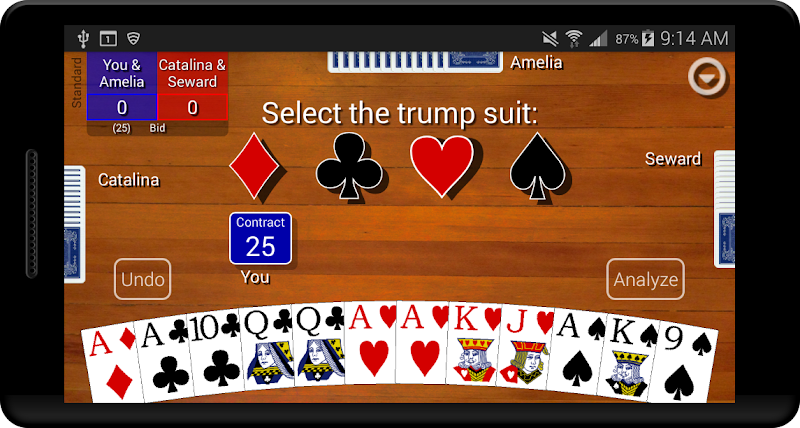 Pinochle Classic Screenshot2