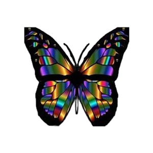 Butterfly Net - Secure VPN APK