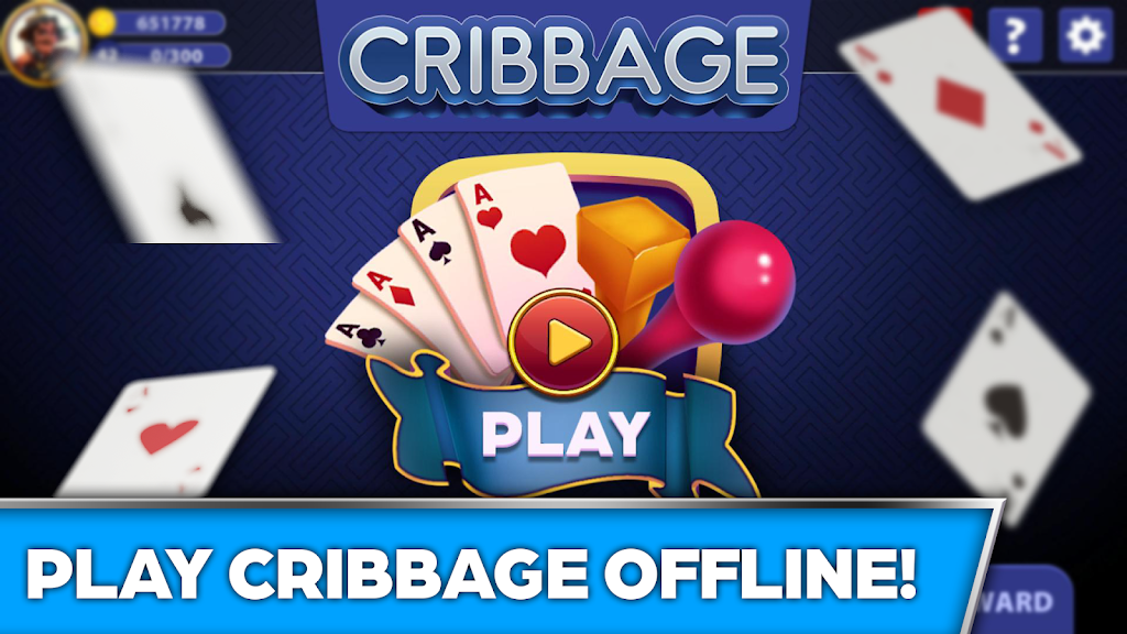 Cribbage Offline Card Game Screenshot1