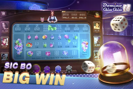 Domino QiuQiu Screenshot2