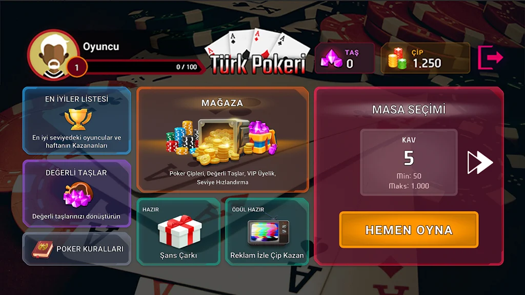 Türk Pokeri Screenshot2