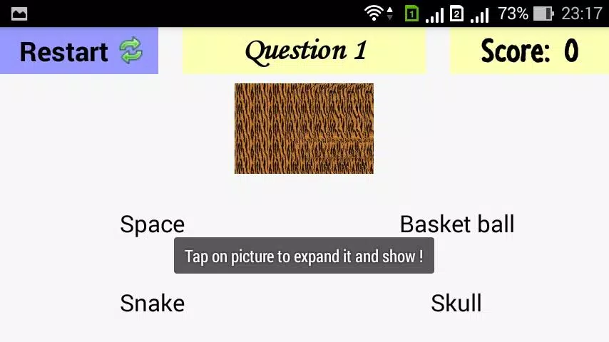 700 Stereograms Quiz Screenshot1