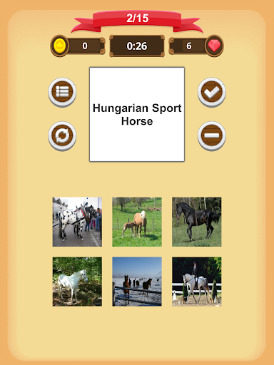 Horse Quiz Screenshot1