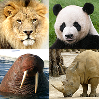 Animals Quiz - All Mammals Zoo APK