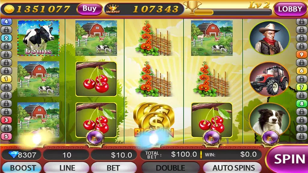 Casino Slots - Jackpot Machine Screenshot3