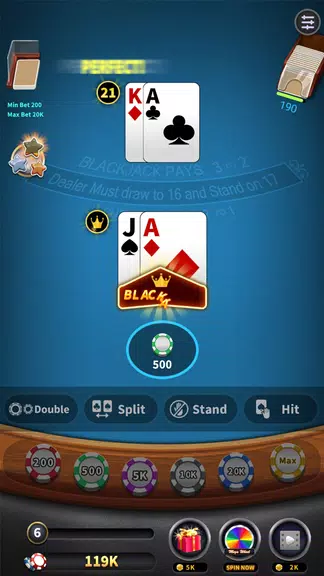 Blackjack 21 offline games Screenshot3