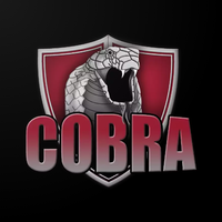 COBRA PRIVATE VPN APK