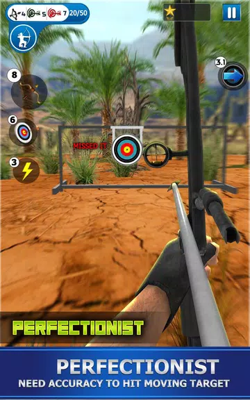 Archery Shoot Screenshot3