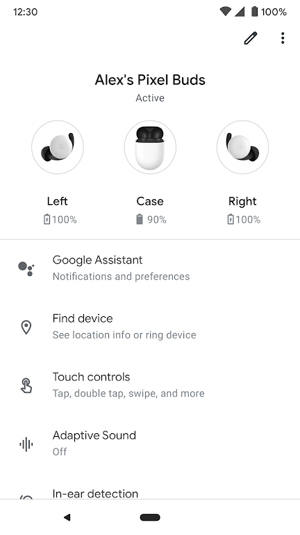 Google Pixel Buds Screenshot1