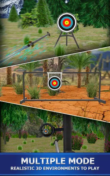 Archery Shoot Screenshot1