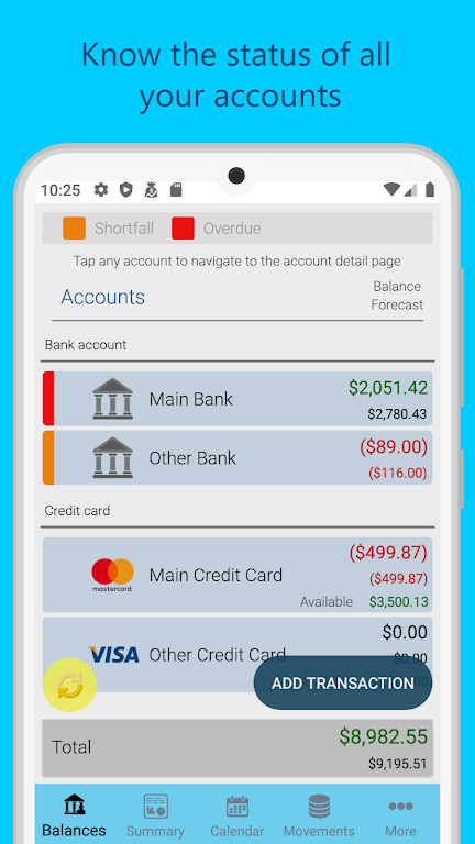 Saru - Expenses and Money Screenshot2