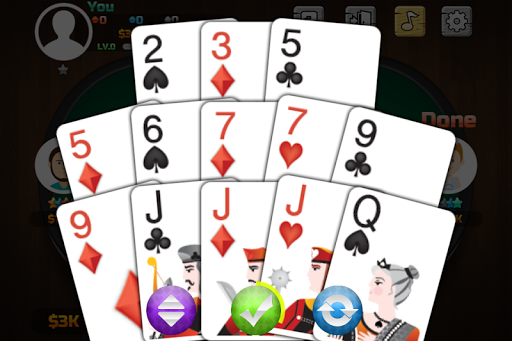 Thirteen Poker Screenshot2