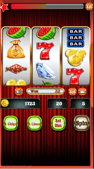 Casino slots machine Free Screenshot4