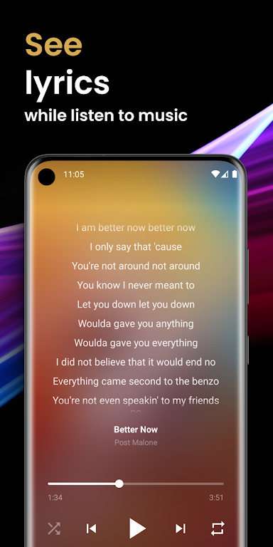 Offline Music Player Mod Screenshot3